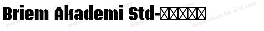 Briem Akademi Std字体转换